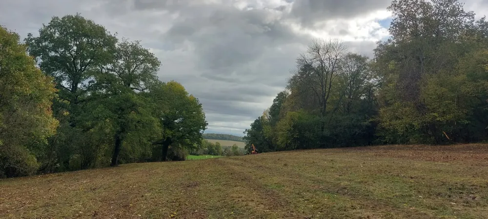 Débroussaillage à Mauvages