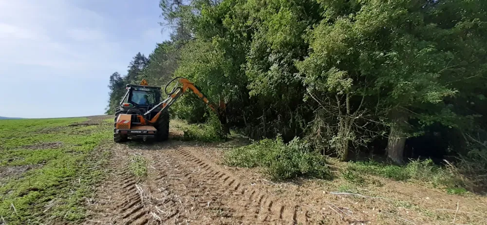 Travaux d'élagage à Mauvages