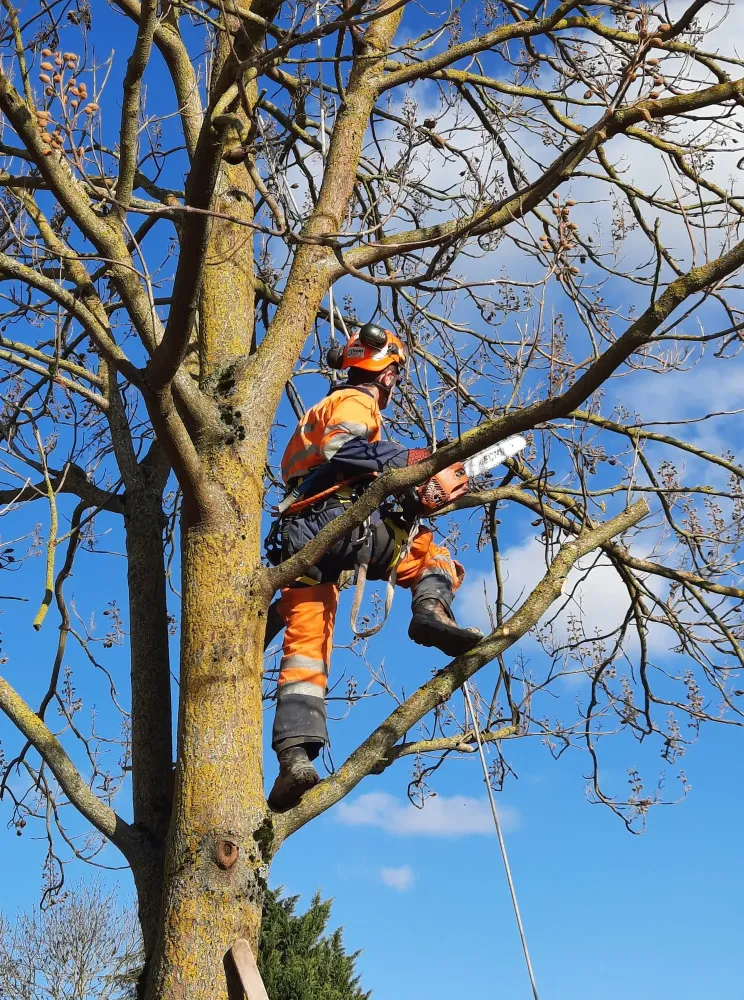 Travaux ruraux et entretien d’espaces verts en Meuse et alentours - SARL Prestige (8webp